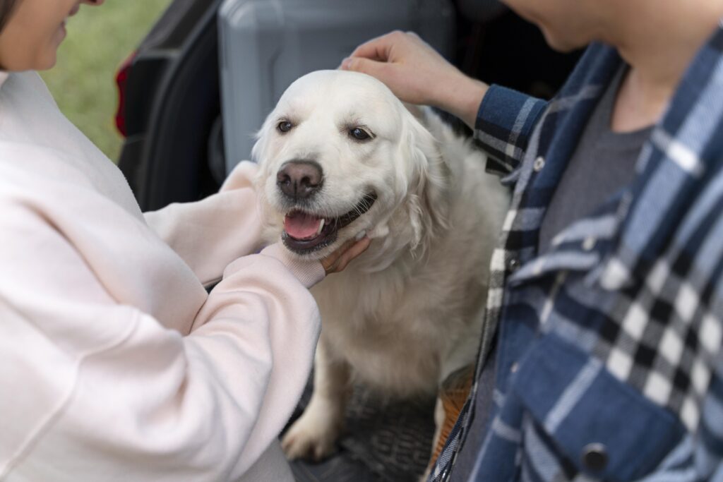 Imagen de un perro labrador siendo acariciado por un chico y una chica.